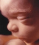 Odkaz na str�nku www.prolife.cz/